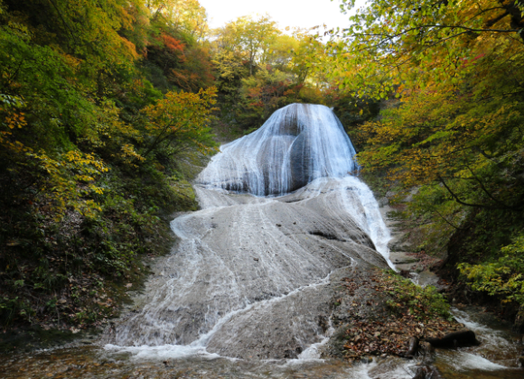 Pristine Natural Beauty